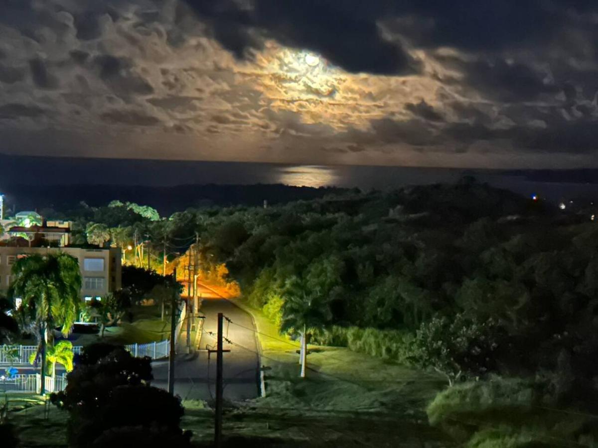 Ocean & Mountains View, Marina, Ferry, Vista Mar, Costa Esmeralda Ceiba Экстерьер фото