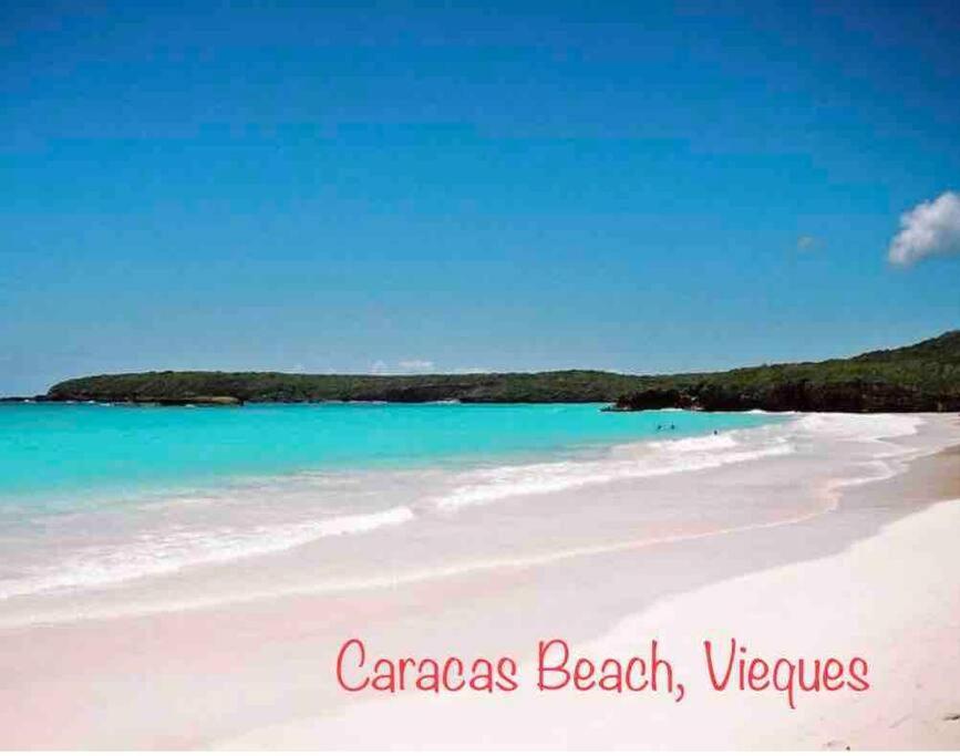 Ocean & Mountains View, Marina, Ferry, Vista Mar, Costa Esmeralda Ceiba Экстерьер фото